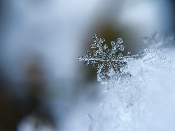 body_snowflake